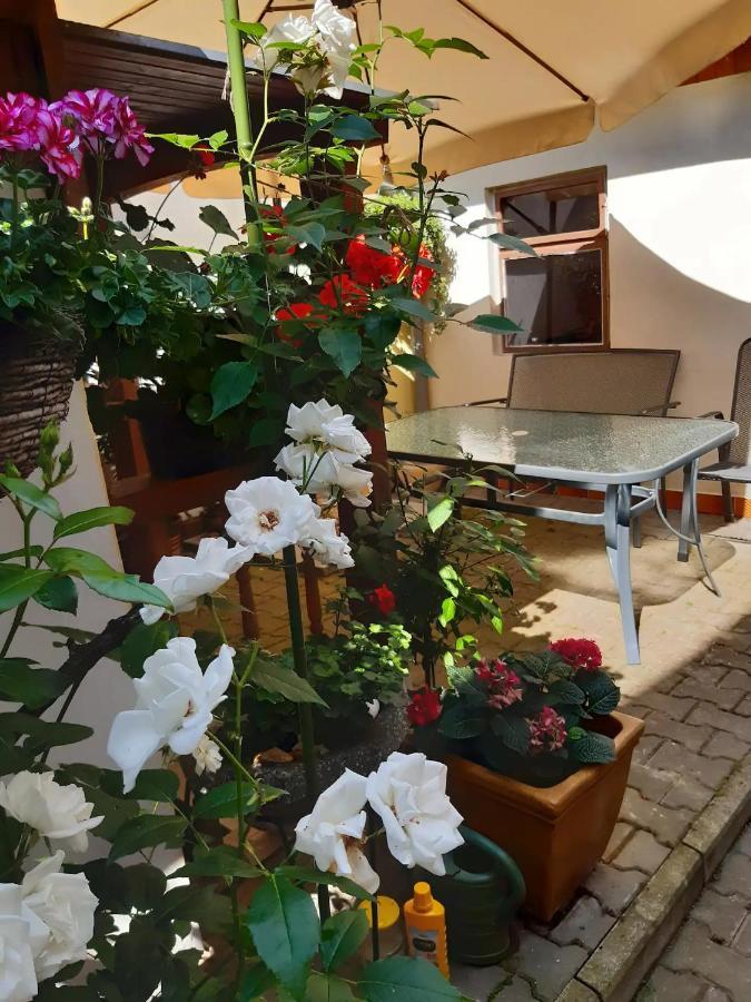 U Pani Malirky Apartment Valtice Bagian luar foto