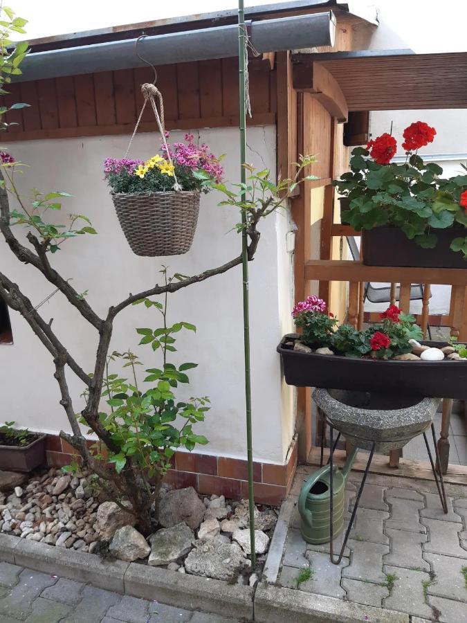 U Pani Malirky Apartment Valtice Bagian luar foto