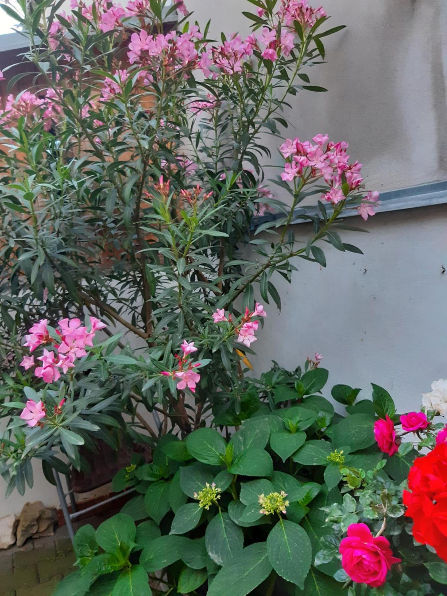 U Pani Malirky Apartment Valtice Bagian luar foto